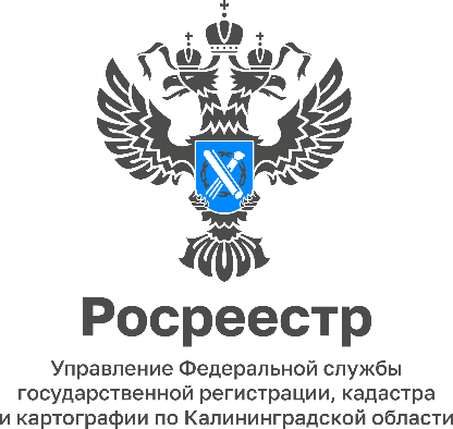 Управление Росреестра по Калининградской области продолжает серию публикаций, в которых доступно освещаются нововведения в законодательстве о государственном земельном надзоре